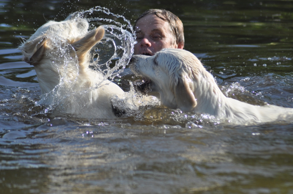 husse badar med hundarna i vår damm 004